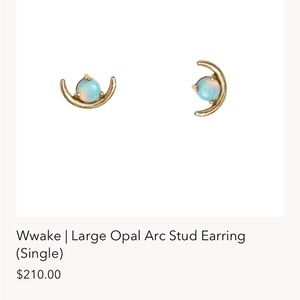 Wwake single earring